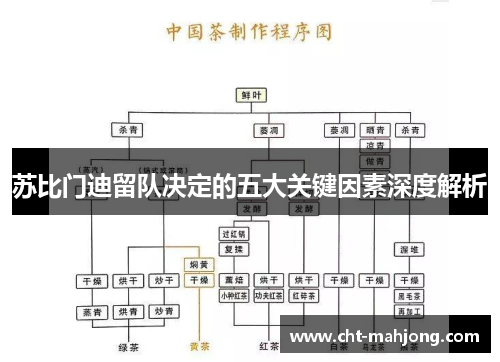 苏比门迪留队决定的五大关键因素深度解析